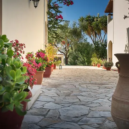 Olga Studios Vasilikos  Exterior photo